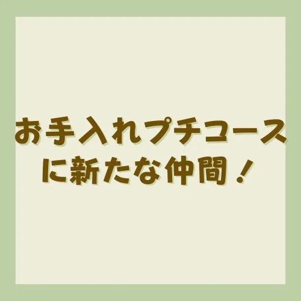 【高宮】新しいフェイシャルメニューのご紹介です。