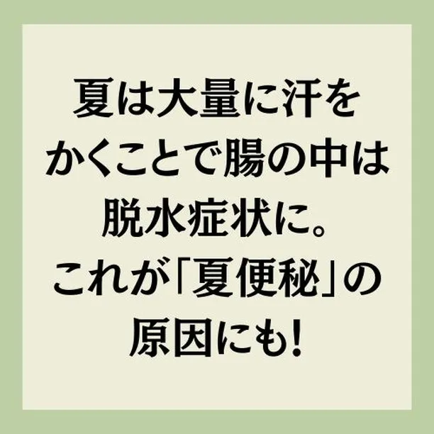 【高宮/腸活】「夏便秘」ってしってますか？