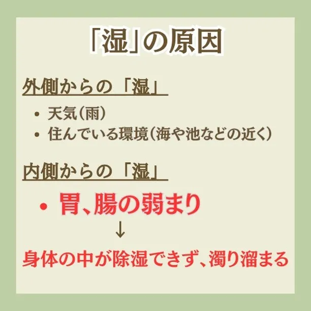 【体質改善】この時期、身体の「除湿」ケアが必要です！