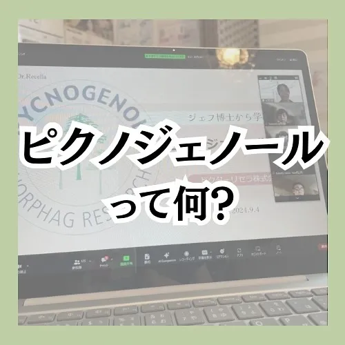 【福岡市/高宮/肌質改善】ピクノジェノールって何？